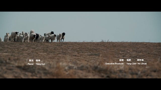 CAPRI HOLLYWOOD - A Boy Named Little Black