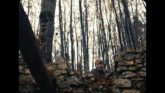 afrodite - una nuova prospettiva