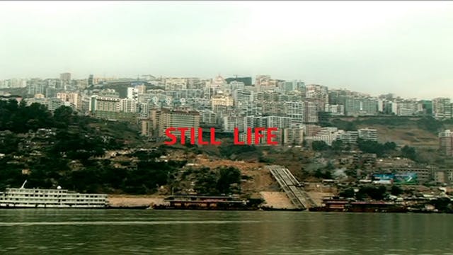 MIOCINEMA - Still Life