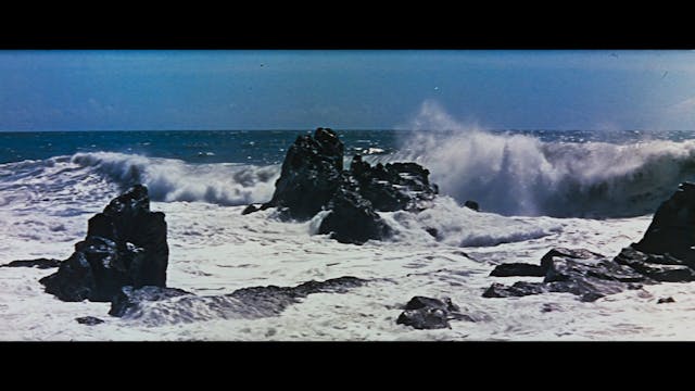 FEFF 2021 - LastOfTheWolves_FEATURE_clean