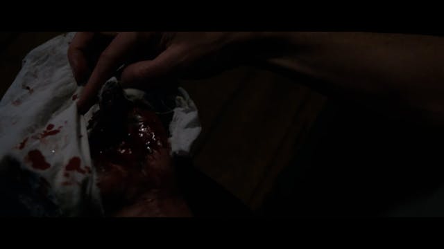 TRIESTE SCIENCE - splendor_def