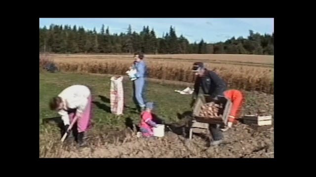 BIOGRAFILM - Self Portrait