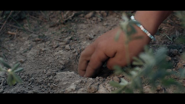 emiliano aiello - Dove vai