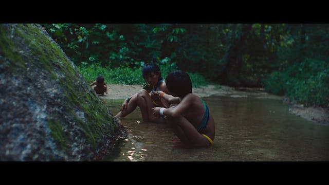 BIOGRAFILM - Aultimaforesta_H264_10Mbps_FullHD_24p_stereo320k