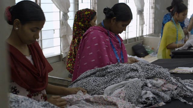 ARTICOLTURE - The True Cost - Presented by Bullfrog Films