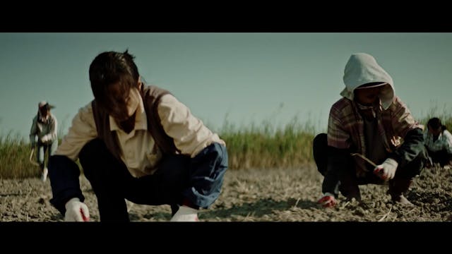 KOREA 2022 - Wasteland