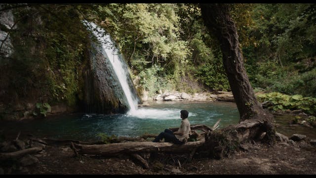 CAPRI HOLLYWOOD 2022 - Linfa Vitale - Clean