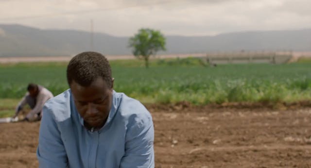 Elisa Rossetto - Compagni Di Viaggio 