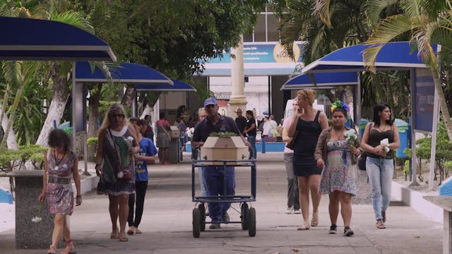 SICILIA QUEER - INDIANARA