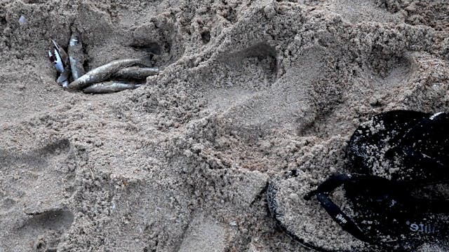 RIVER - MISSING_FTR_1080p24