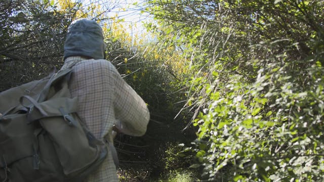 BERGAMO FILM MEETING - Albert, Berger