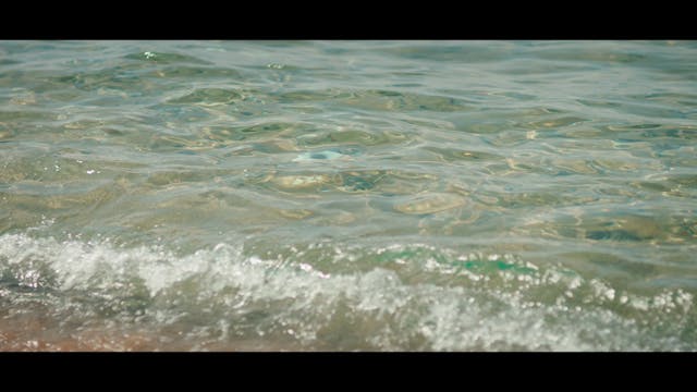 16 CORTO - MARGHERITA