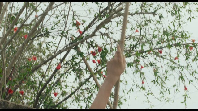 FEFF - Changfeng Town