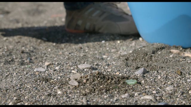 BIOGRAFILM - ManKindMan_H264_10Mbps_FullHD_intFLAT_25p_stereo320k