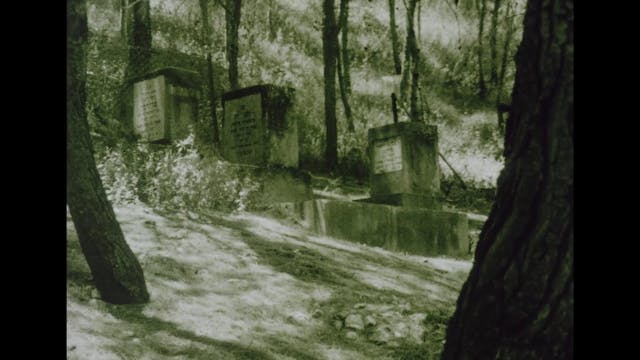 ARCHIVIO APERTO - Perlov Diary #2