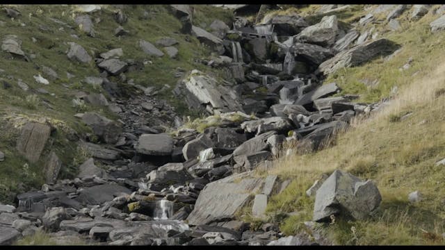 SHORTS - Tutto L'oro Che C'è - nuove impronte