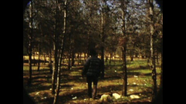 LACENO - LA FORET 2020  - SANS SOUS TITRE - LACENO