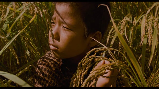 Memorie Assassino - ita