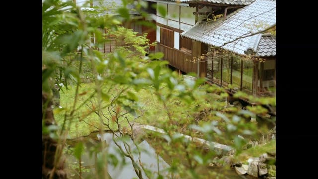 emiliano aiello - White Flowers