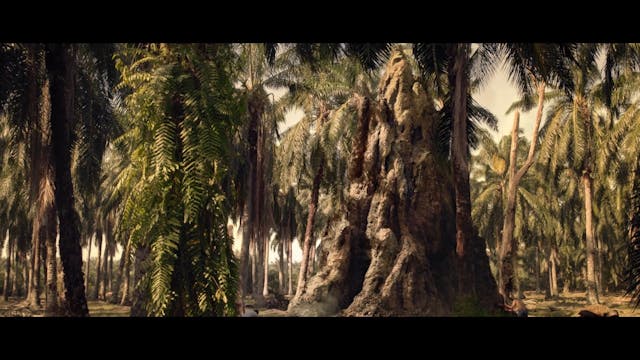 TRIESTE - FANTASTIC SHORTS - cargo