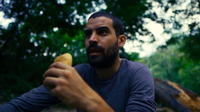 FI-PI-LI HORROR - Resin