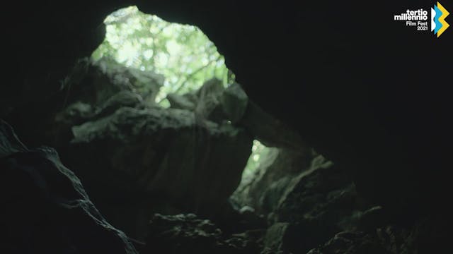 Luciano Vittori - LIBORIO_TMFF_24