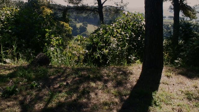 LACENO - dove non siamo stati h264