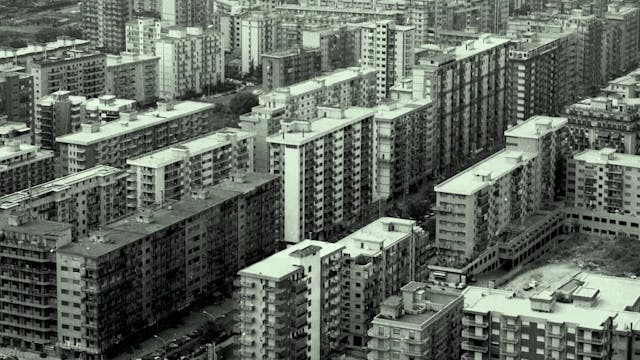 MIOCINEMA - MafiaNonEPiùQuellaDiUnaVolta