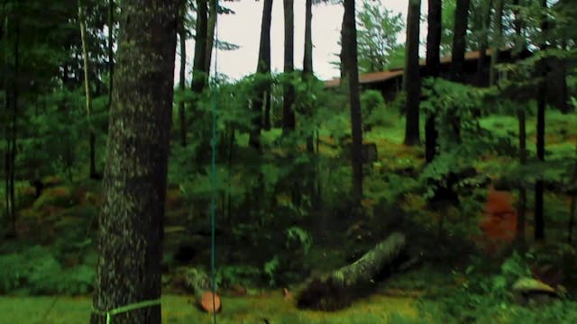 SICILIA QUEER - MIKE PENCE