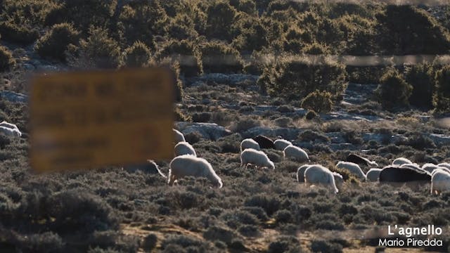 Cateno Piazza - DAY 1_INTERVISTE_CFF20