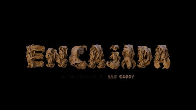 TRIESTE 2022 - embedded