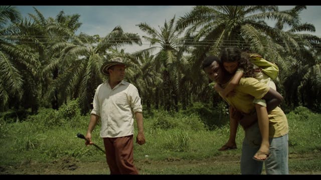 FESCAAAL 2022 - The Red Tree