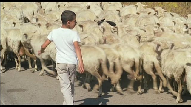 MIOCINEMA - BALLO A TRE PASSI - SUB ITA