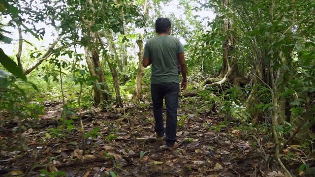 Lara Casirati - FESCAAAL_Hasta que muera el sol