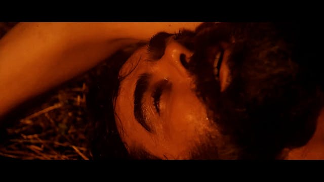 FI-PI-LI HORROR - Organique