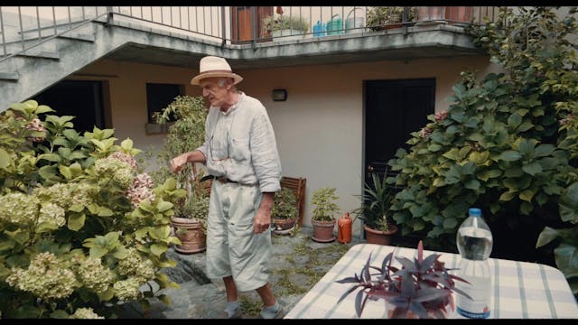 TERRE DA FESTIVAL - GEA LULTIMA MUCCA_H264