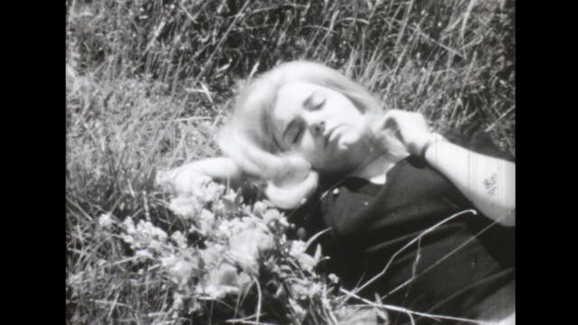 ARCHIVIO APERTO - Alla Ricerca Dell'I...