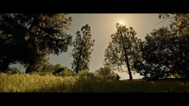 RAVENNA NIGHTMARE 2021 - TheBoyBehindTheDoor_subITA