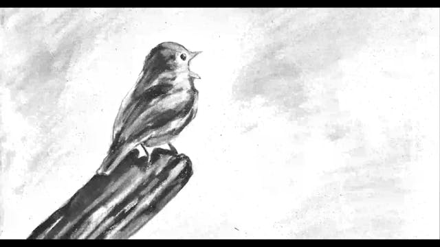 IRANFEST myreload - MANDOUZMA