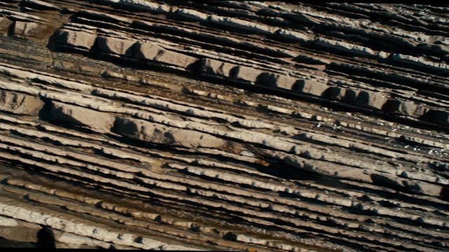 IORESTOINSALA - Antropocene - VO