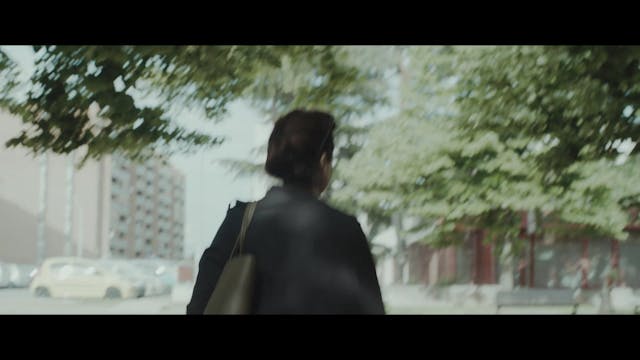 MOLISE - Il Ritratto