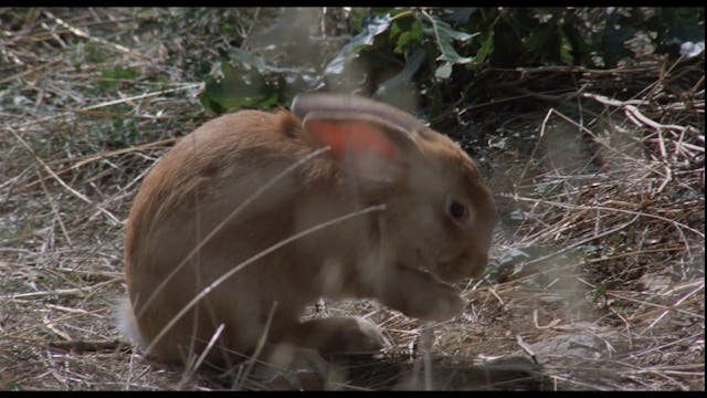 luoghi dell'anima - Tre_Fratelli_SurfFilm_H264_IT20_10Mbit