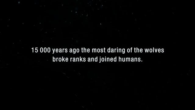 LESSINIA 2022 - SONS OF BORA_63 min_HD_STEREO_TV_INT-23.2_LRA 