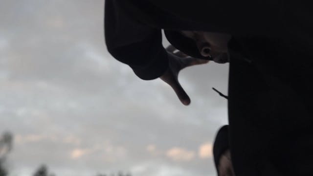 FILMMAKER - Fiori, Fiori, Fiori!