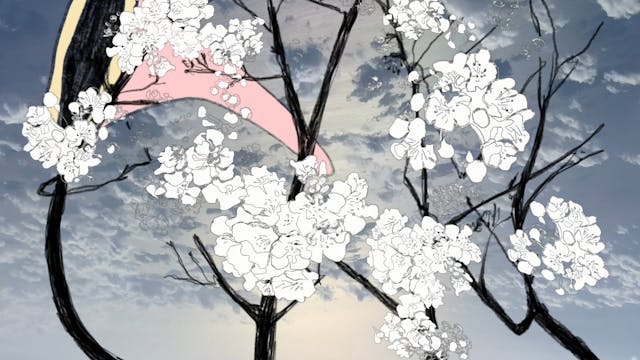 Afrodite shorts - If there is NO SPACE