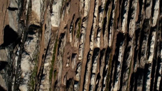 IORESTOINSALA - Antropocene - ITA