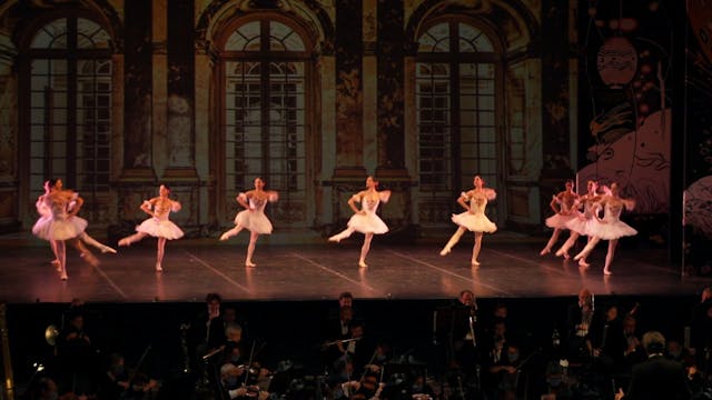 TEATRO SAN CARLO - Gala di Danza