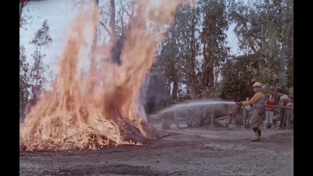 SGUARDI ALTROVE - too late to die young