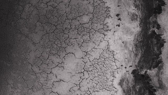 VISIONI DAL MONDO - I NAUFRAGHI DI KERCH