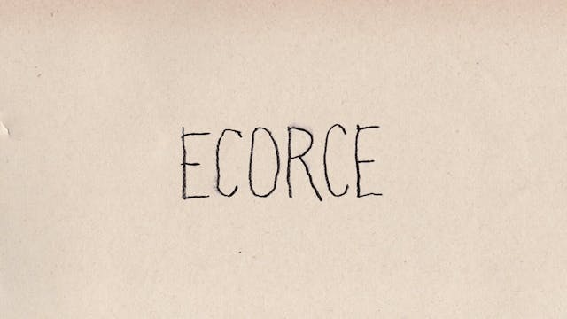 SEDICICORTO 2021 - Ecorce_XX_Stereo_h264